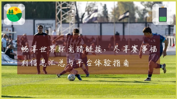 畅享世界杯竞猜链接，尽享赛事福利信息汇总与平台体验指南