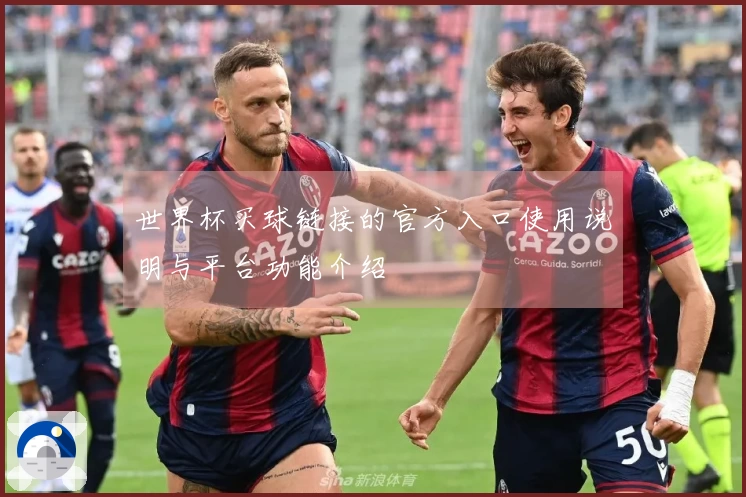 世界杯买球链接的官方入口使用说明与平台功能介绍