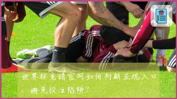 世界杯竞猜官网如何判断正规入口，避免投注陷阱？
