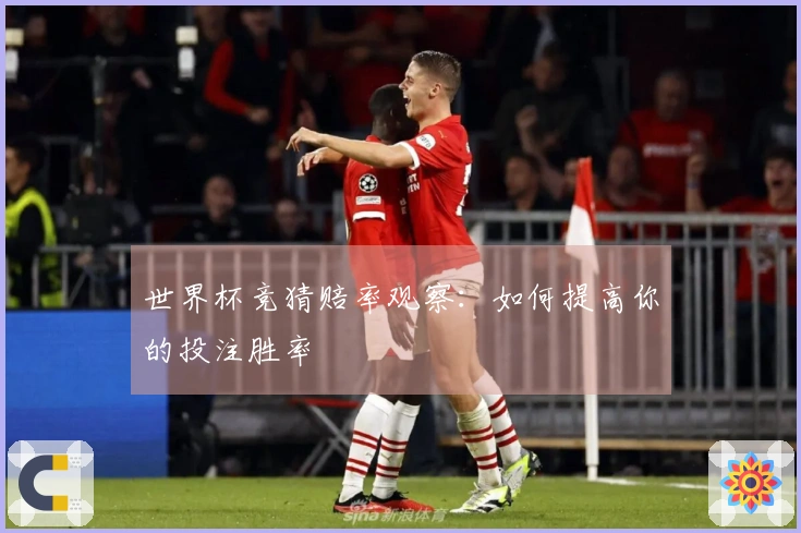 世界杯竞猜赔率观察:如何提高你的投注胜率