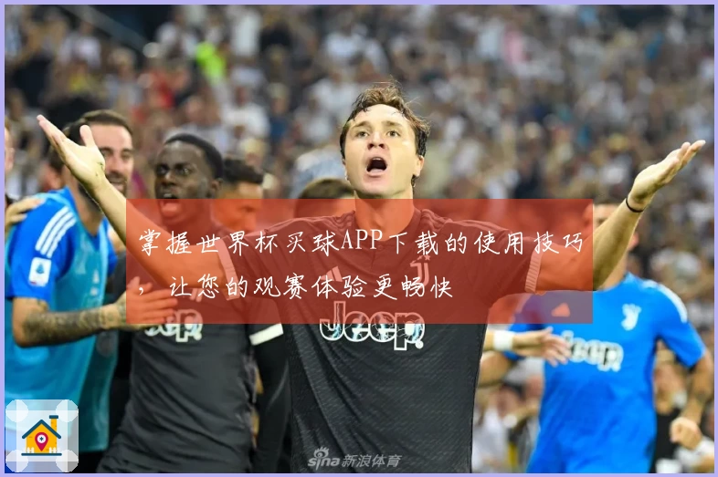 掌握世界杯买球APP下载的使用技巧，让您的观赛体验更畅快
