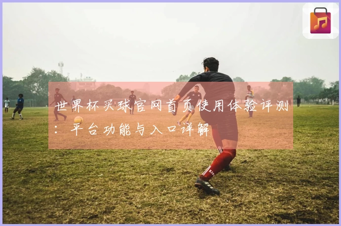 世界杯买球官网首页使用体验评测：平台功能与入口详解