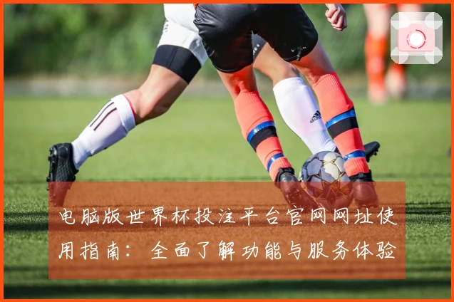 电脑版世界杯投注平台官网网址使用指南：全面了解功能与服务体验
