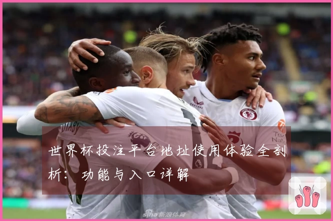 世界杯投注平台地址使用体验全剖析：功能与入口详解