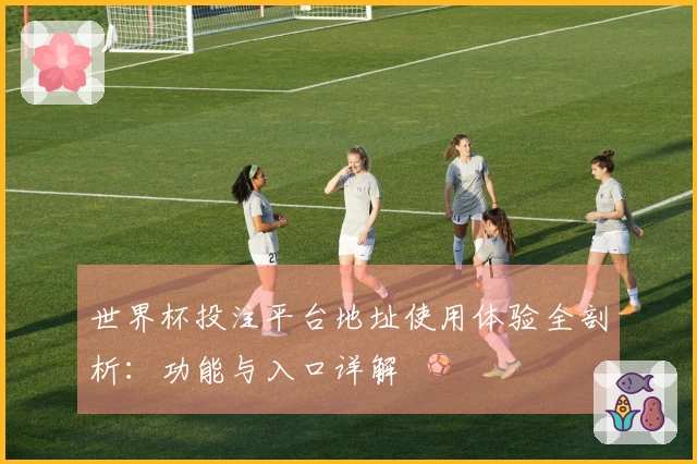 世界杯投注平台地址使用体验全剖析：功能与入口详解